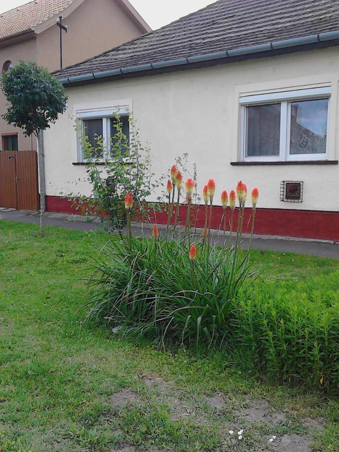 Apartmán Toth Maganszallas Hajdúszoboszló Exteriér fotografie